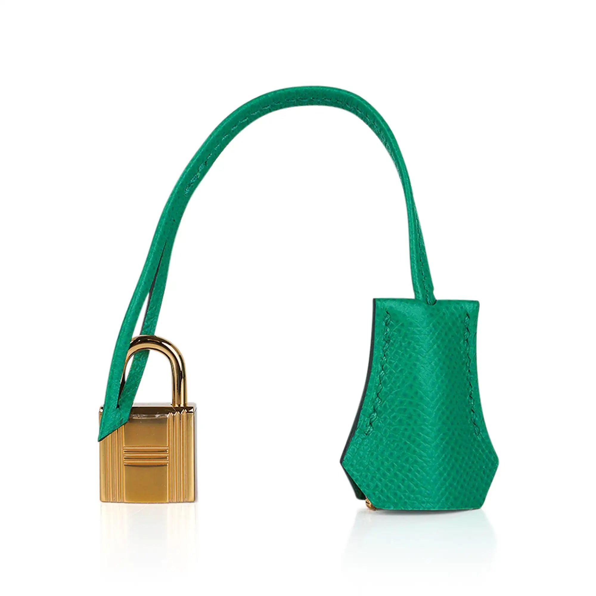 Birkin 25 Bag Sellier Epsom Leather with Gold Hardware