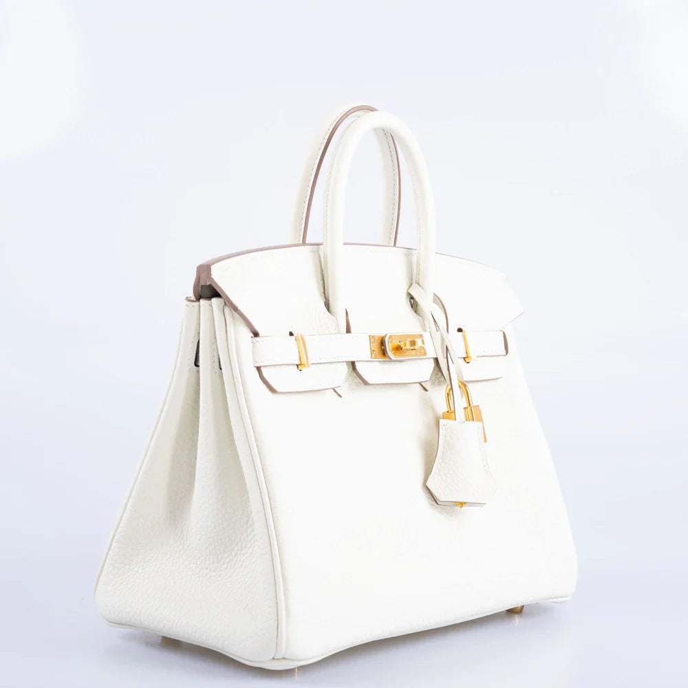 BIRKIN 25 MUSHROOM TOGO GOLD HARDWARE