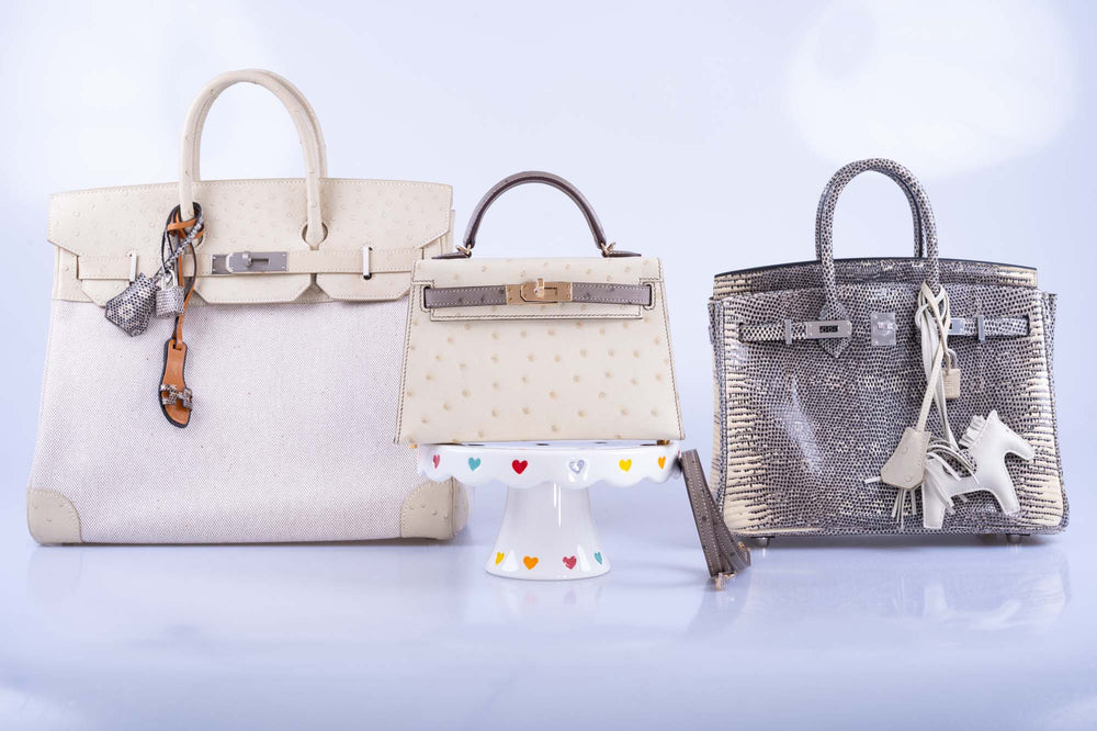 HSS KELLY MINI 20 SELLIER PARCHMENT AND ETOUPE OSTRICH CHAMPAGNE HARDWARE