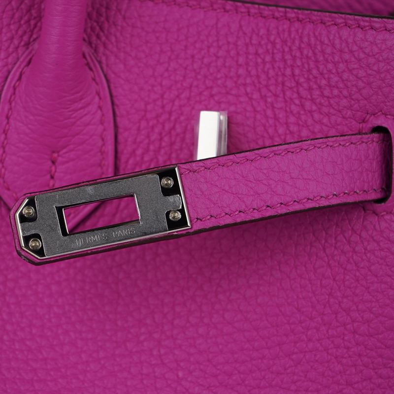 Birkin 25 Bag Magnolia Togo Palladium Hardware