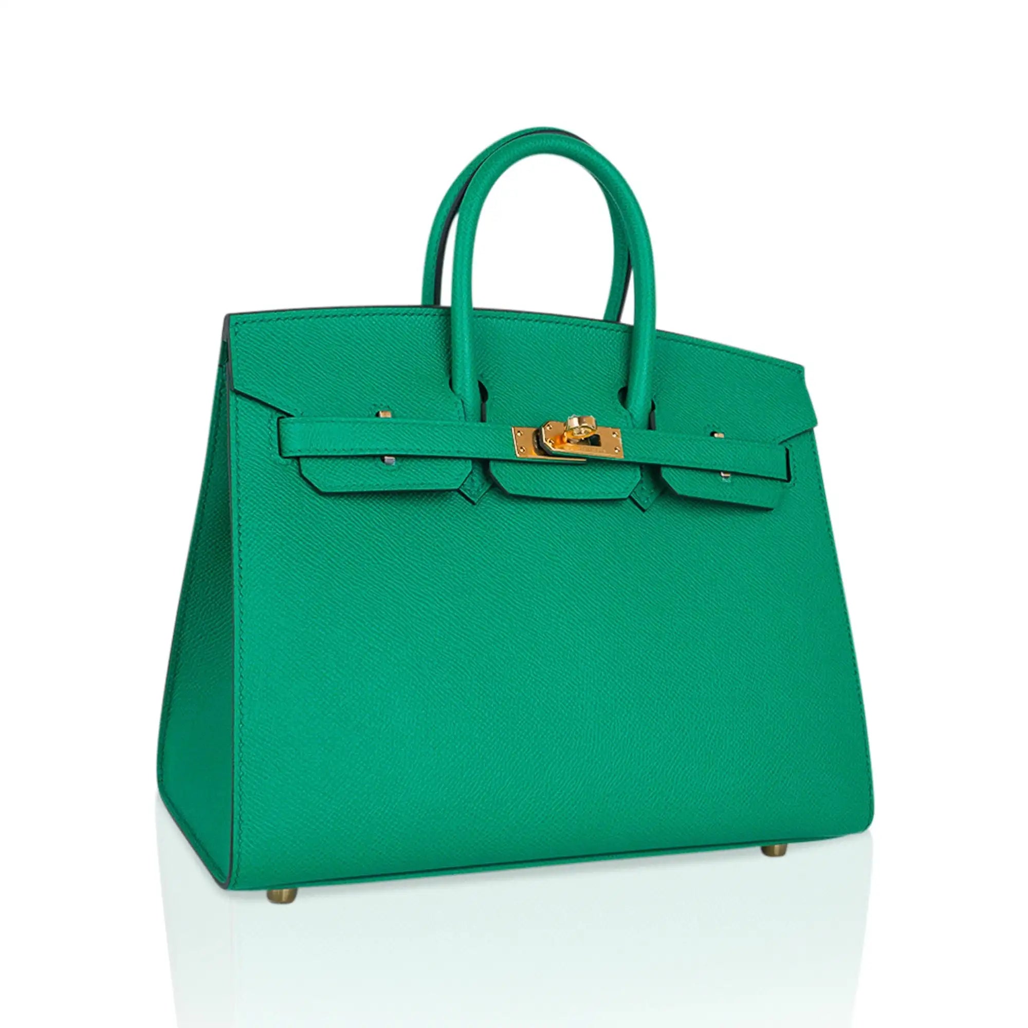 Birkin 25 Bag Sellier Epsom Leather with Gold Hardware