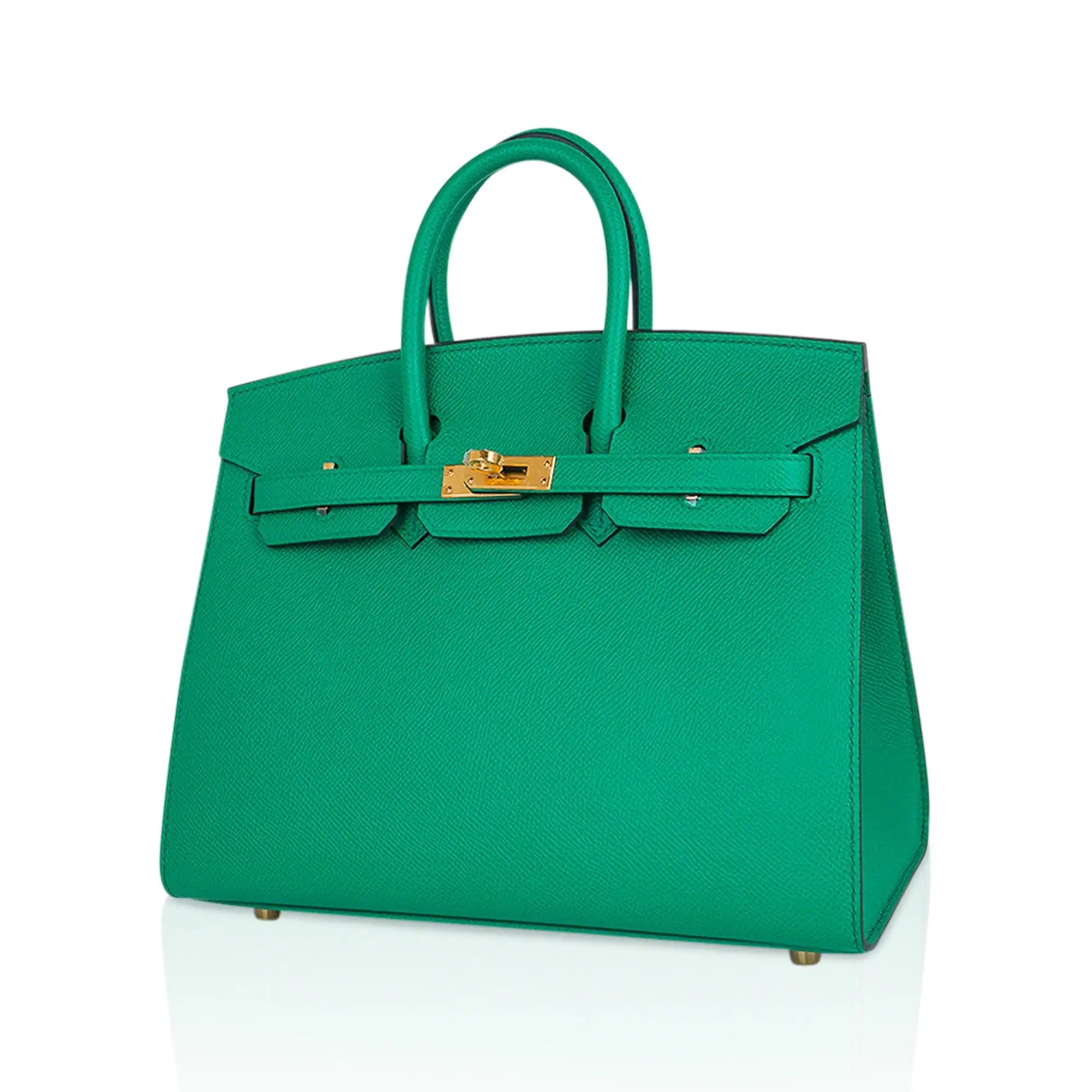 Birkin 25 Bag Sellier Epsom Leather with Gold Hardware